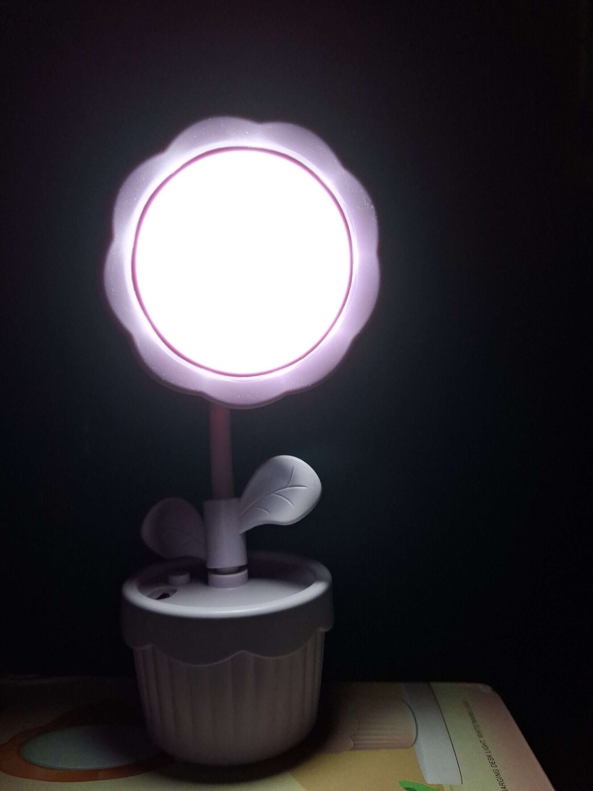 Flower LED Desk Lamp | USB Rechargeable Flexible Study Light